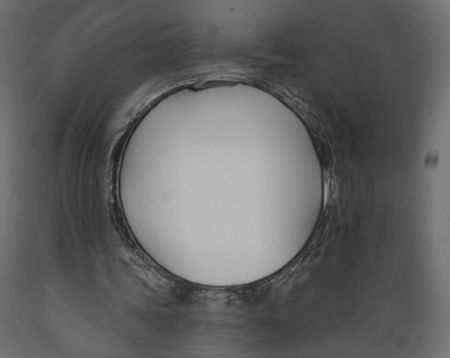 X0000088880339200707061415