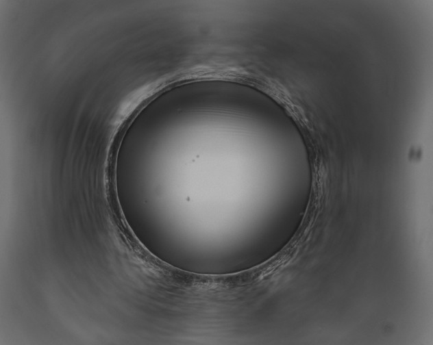 X0000088880340200707061415
