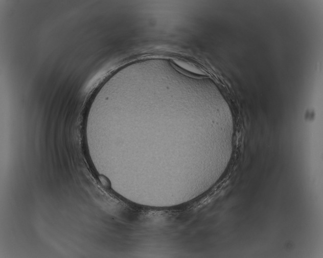 X0000088880341200707061415