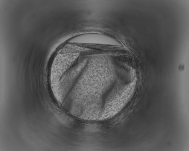 X0000088880342200707061415