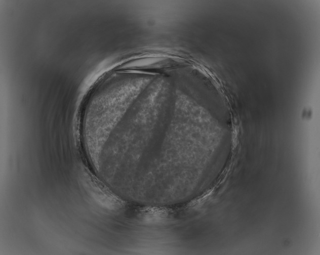 X0000088880343200707061415