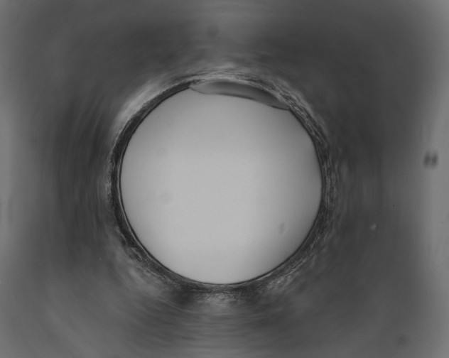 X0000088880344200707061415