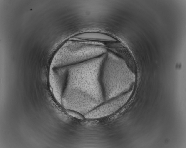 X0000088880345200707061415