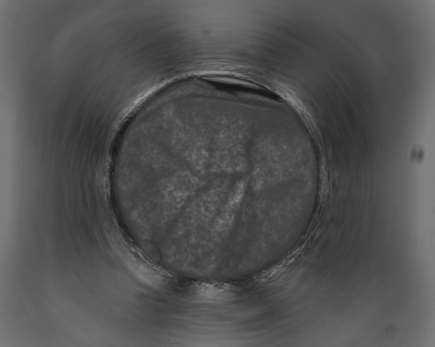 X0000088880346200707061415