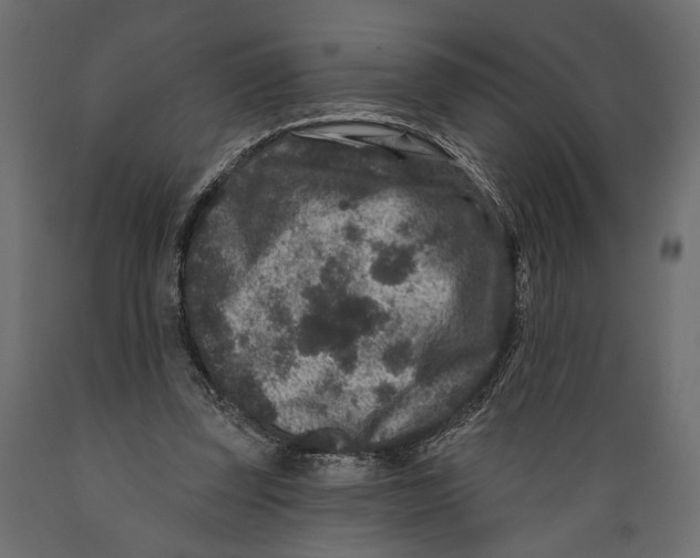 X0000088880347200707061415