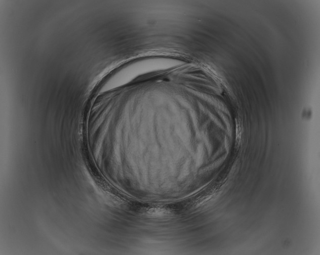 X0000088880348200707061415