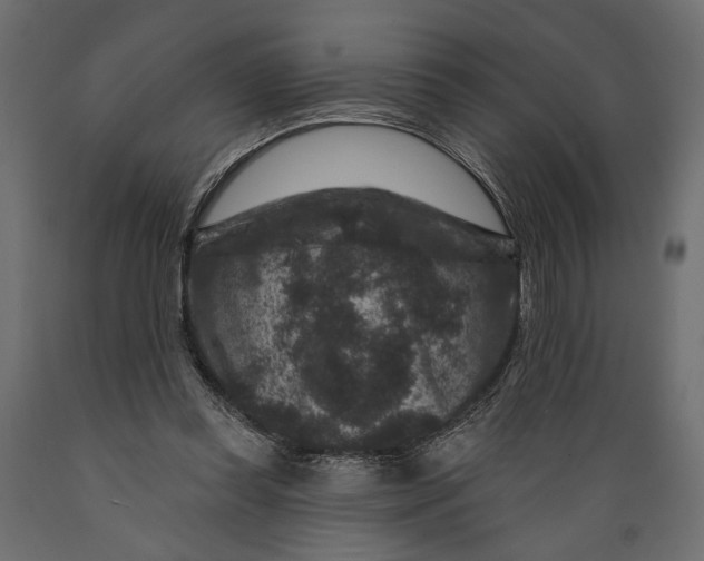 X0000088880349200707061415