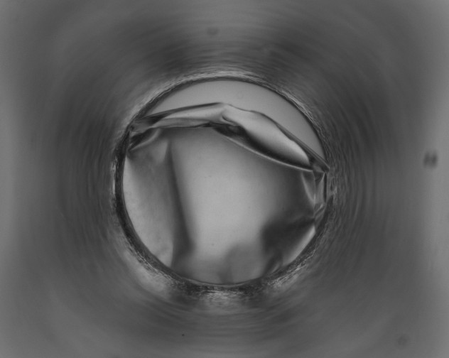 X0000088880350200707061415
