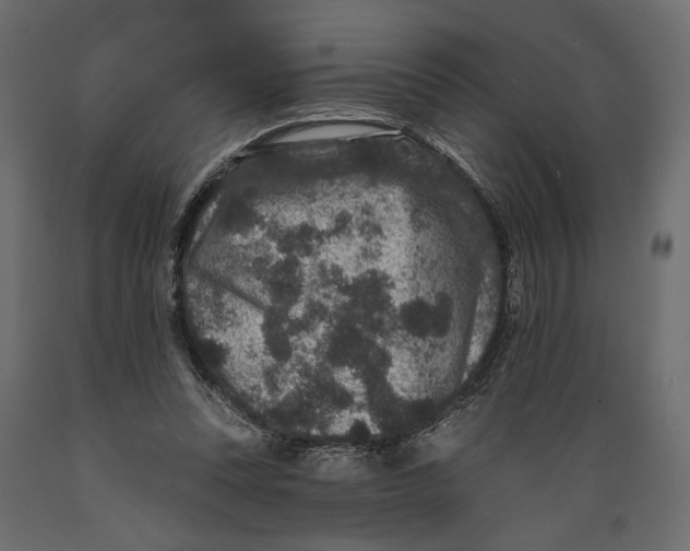 X0000088880351200707061415