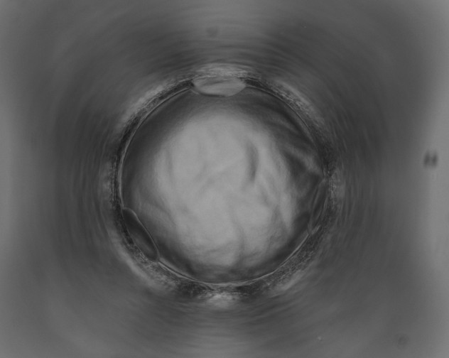 X0000088880352200707061415