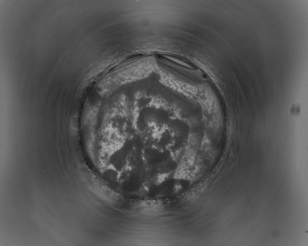 X0000088880353200707061415