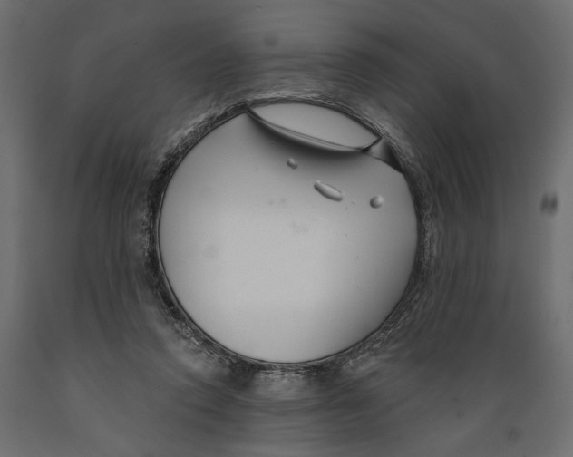 X0000088880354200707061415