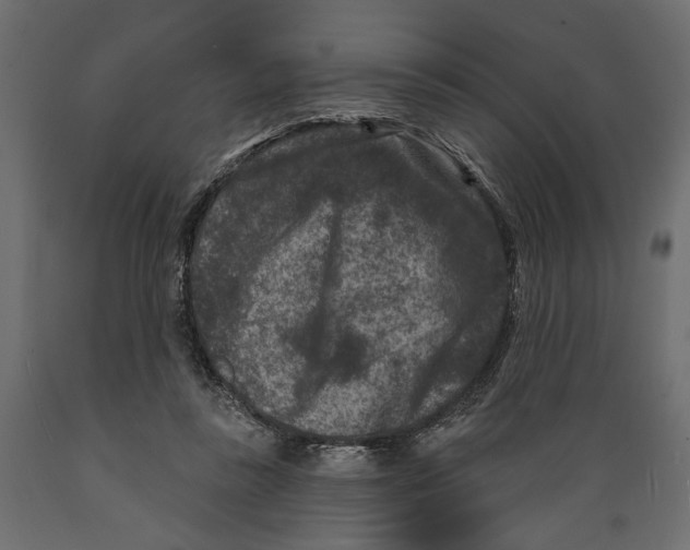 X0000088880355200707061415
