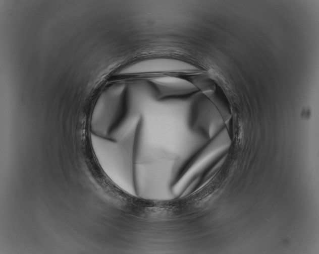X0000088880356200707061415