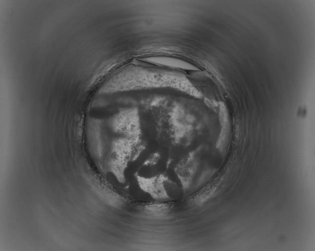 X0000088880357200707061415