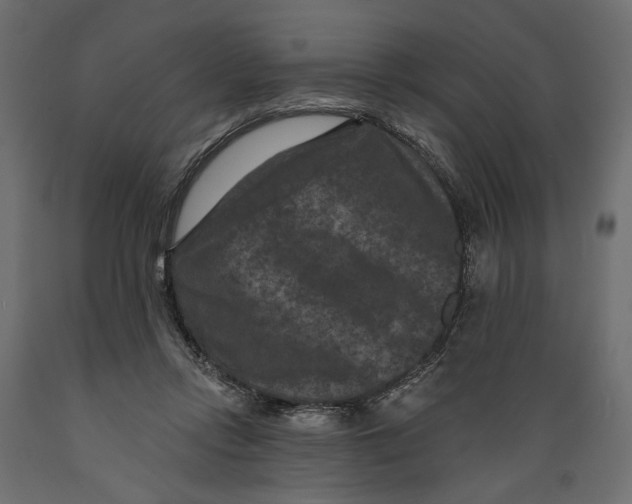 X0000088880358200707061415