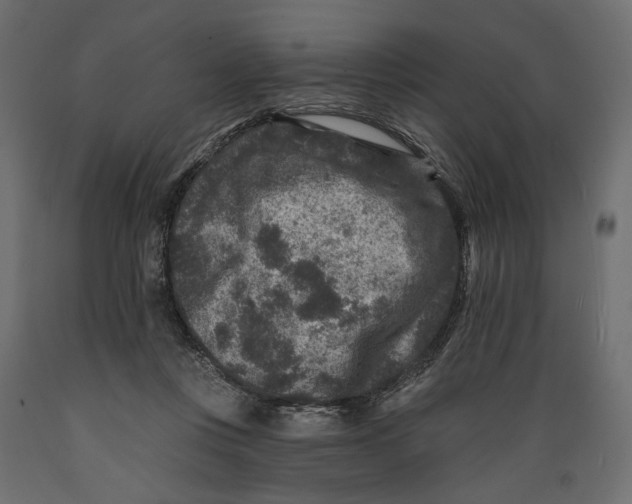 X0000088880359200707061415