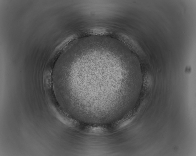 X0000088880360200707061415