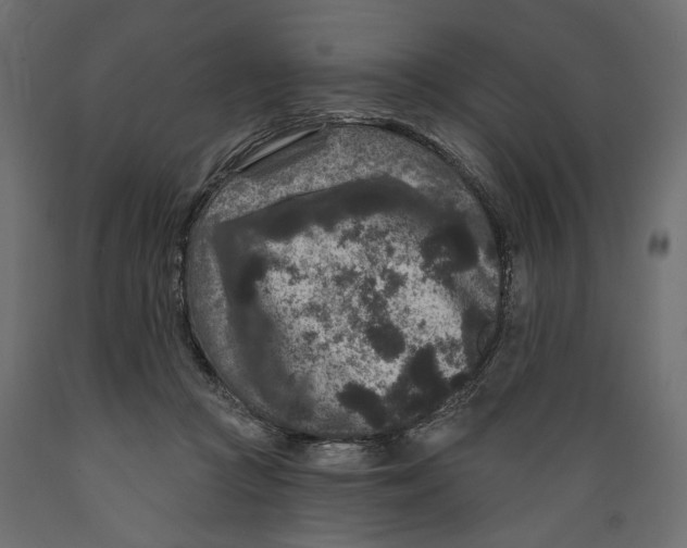 X0000088880361200707061415
