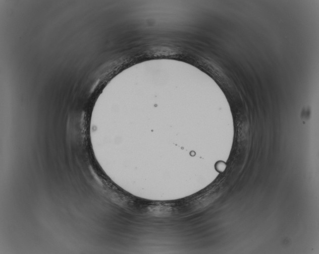 X0000088880362200707061415