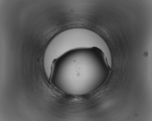 X0000088880364200707061415