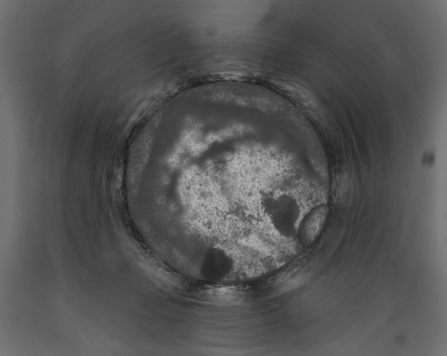 X0000088880365200707061415