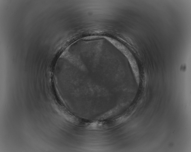 X0000088880366200707061415