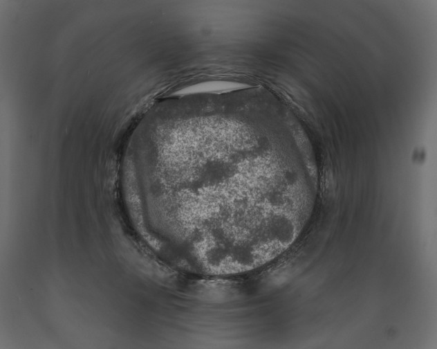 X0000088880367200707061415