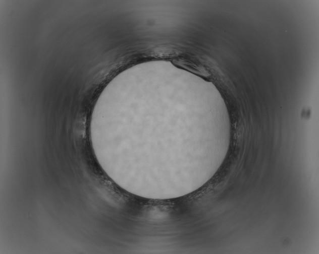 X0000088880368200707061415
