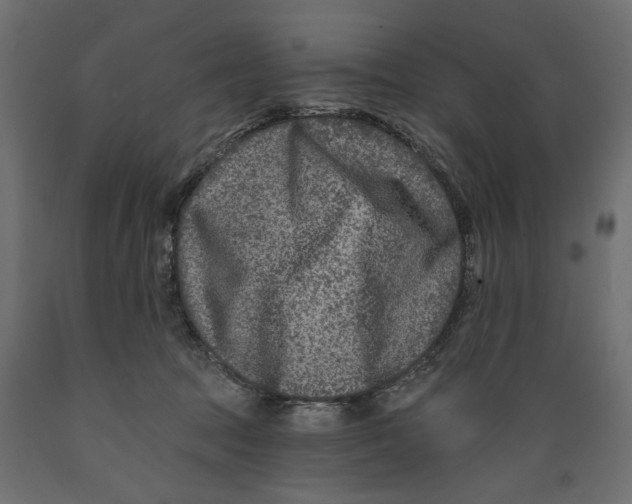 X0000088880369200707061415
