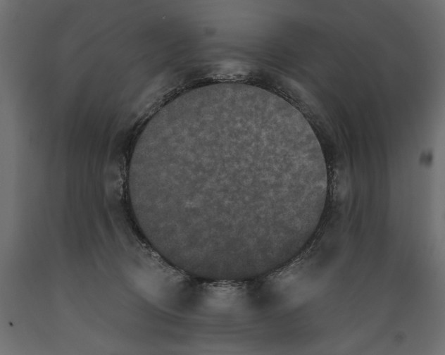 X0000088880370200707061415