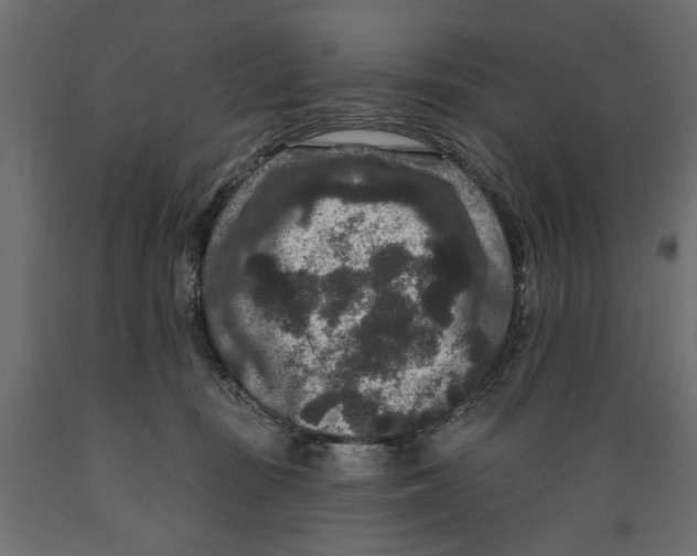 X0000088880371200707061415