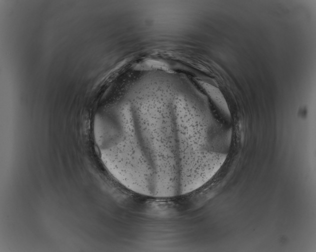X0000088880372200707061415