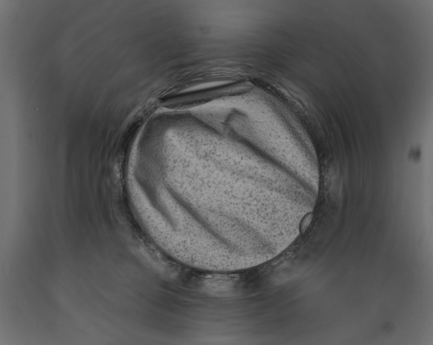 X0000088880373200707061415