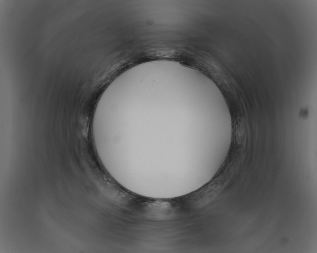 X0000088880374200707061415