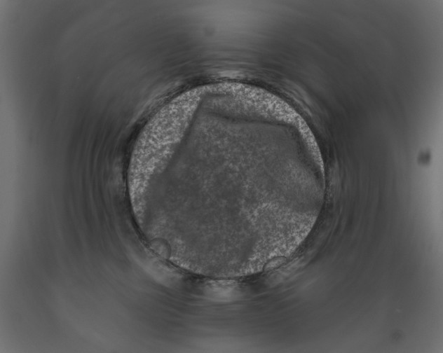 X0000088880377200707061415