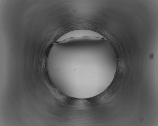 X0000088880379200707061415