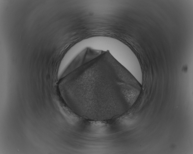 X0000088880380200707061415