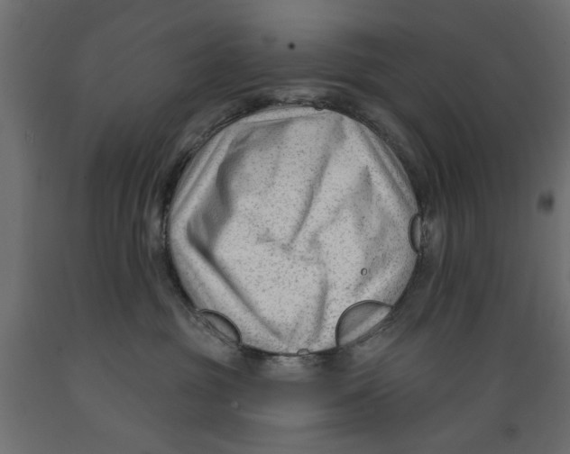 X0000088880381200707061415