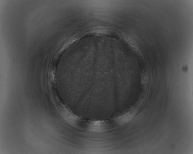 X0000088880382200707061415