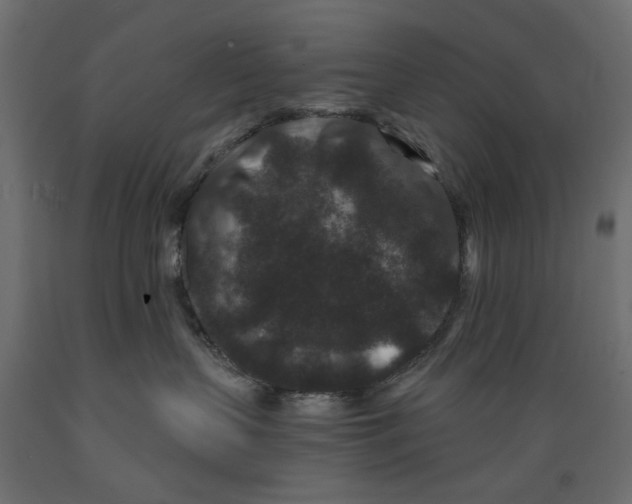 X0000088880383200707061415