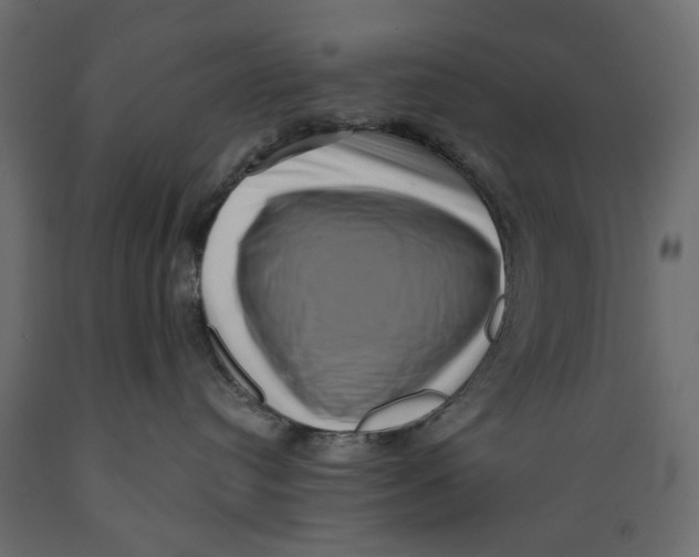 X0000088880384200707061415