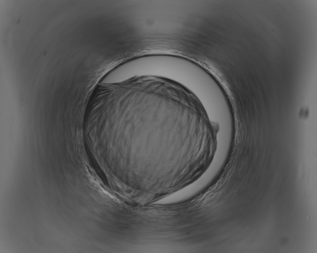 X0000088880385200707061415