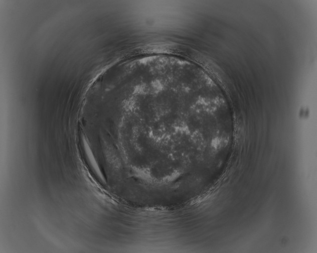 X0000088880386200707061415