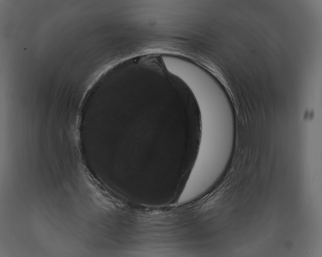 X0000088880387200707061415