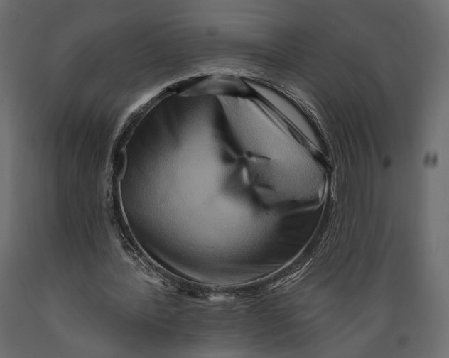 X0000088880388200707061415