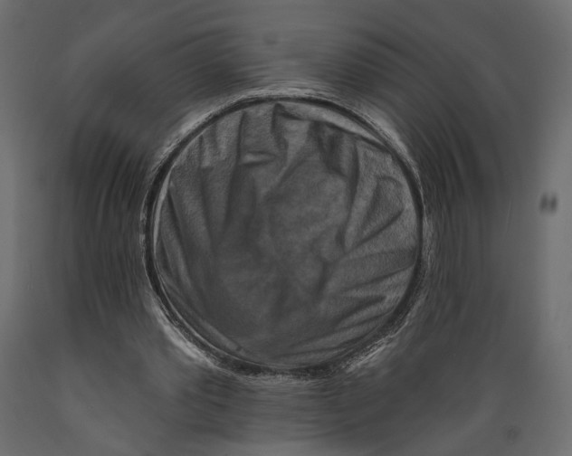 X0000088880389200707061415