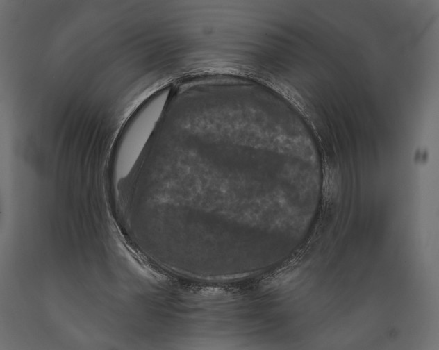 X0000088880390200707061415