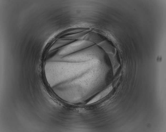 X0000088880392200707061415