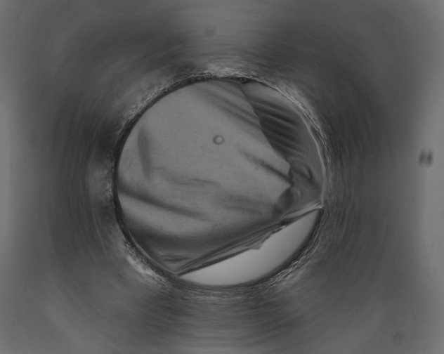 X0000088880393200707061415